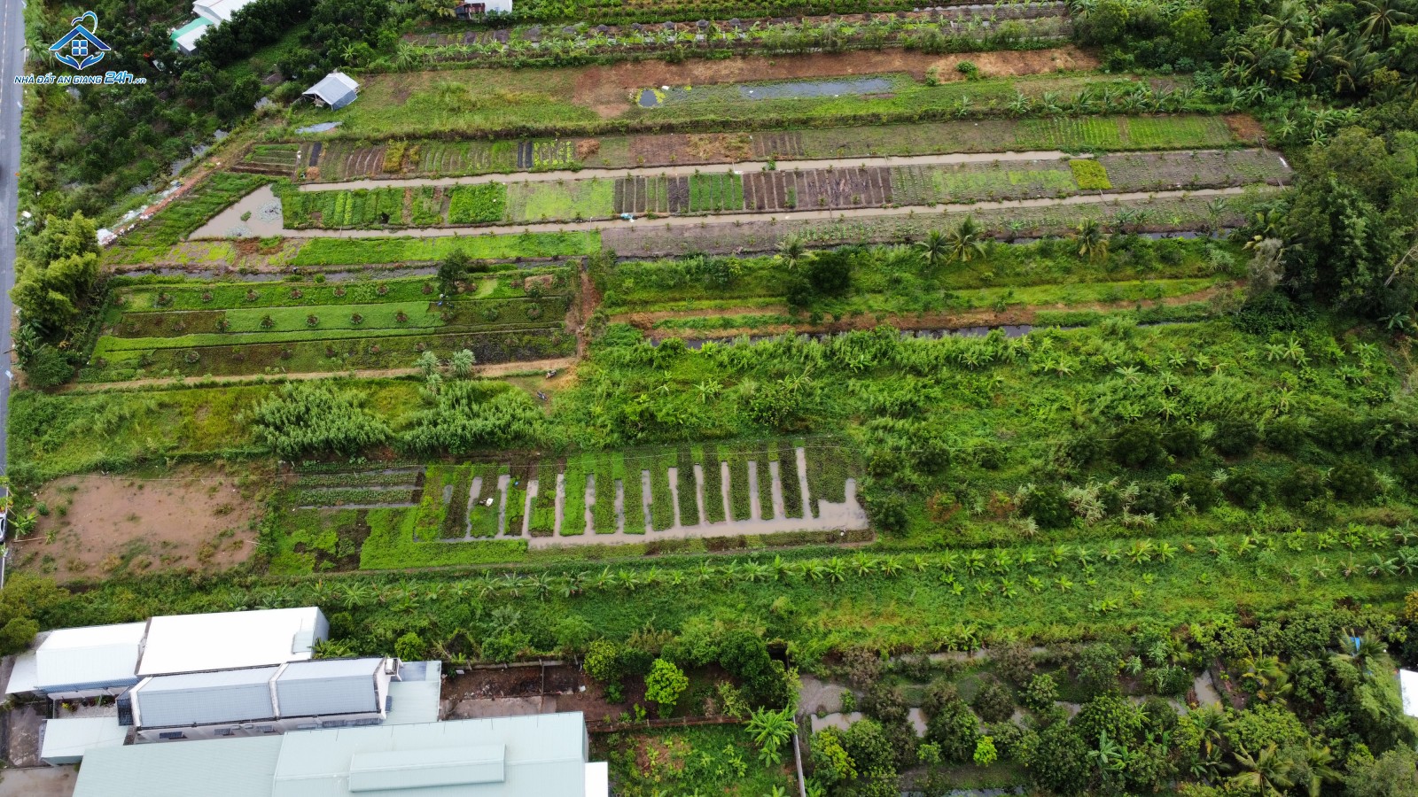 BÁN THỬA ĐẤT CÂY LÂU NĂM MẶT TIỀN ĐƯỜNG TRƯƠNG VĨNH NGUYÊN, QUẬN CÁI RĂNG